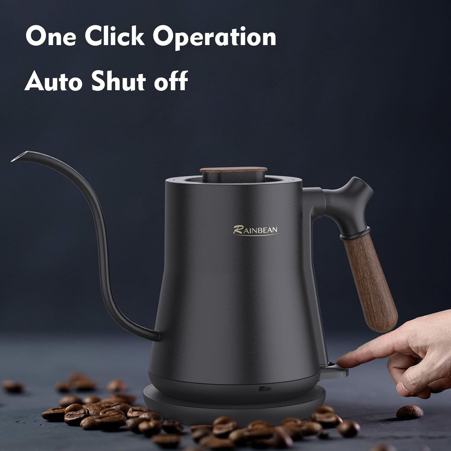 Gooseneck Electric Stainless Kettle